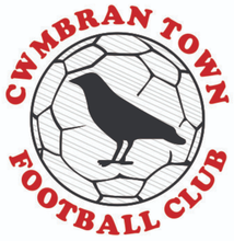 Load image into Gallery viewer, Cwmbran Town Contrast Quarter Zip Midlayer with Club Logo

