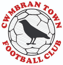 Load image into Gallery viewer, Cwmbran Town Thermal Bench Coat with Club Logo
